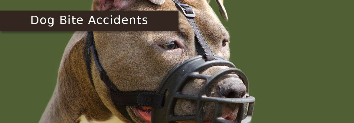 Dog Bite Accidents - Law Offices of Brian Larsen dog in a muzzle with caption Dog Bite Accidents